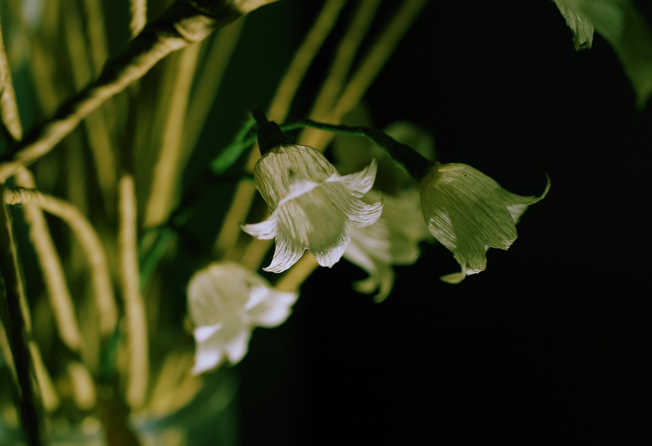 hochwertiges bastelpapier für kreative projekte – robust, vielseitig und umweltfreundlich. ideal zum basteln, verpacken und gestalten.
