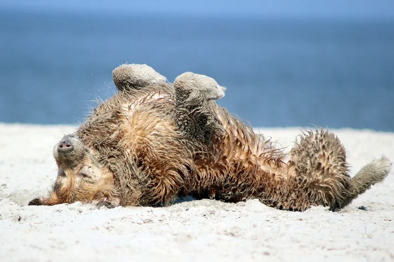 Praktische Tipps für den Tschechien-Urlaub