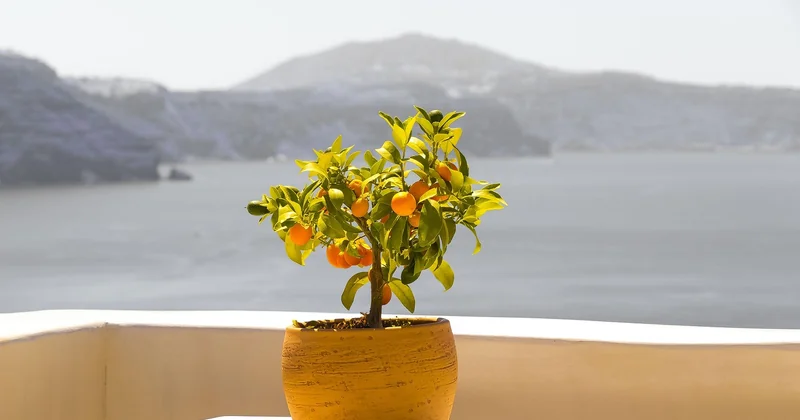 Wetter Santorini Jahresübersicht: der Rhythmus der Insel