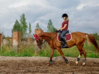 entdecken sie unseren sicheren und vielseitigen laufstall f&uuml;r ihr baby &ndash; ideal zum spielen und gesch&uuml;tzt sein.