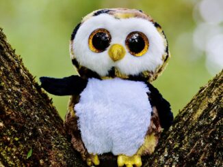 entdecken sie unsere lustigen und vielseitigen googly eyes, perfekte f&uuml;r diy-projekte, bastelarbeiten und kreative dekorationen. bringen sie ihren bastelideen mit wackelnden augen leben ein!