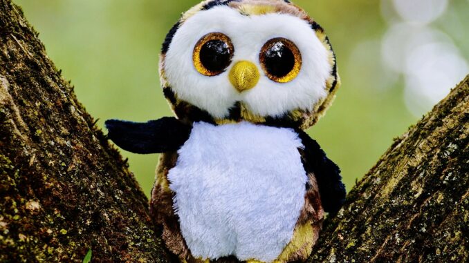 entdecken sie unsere lustigen und vielseitigen googly eyes, perfekte f&uuml;r diy-projekte, bastelarbeiten und kreative dekorationen. bringen sie ihren bastelideen mit wackelnden augen leben ein!